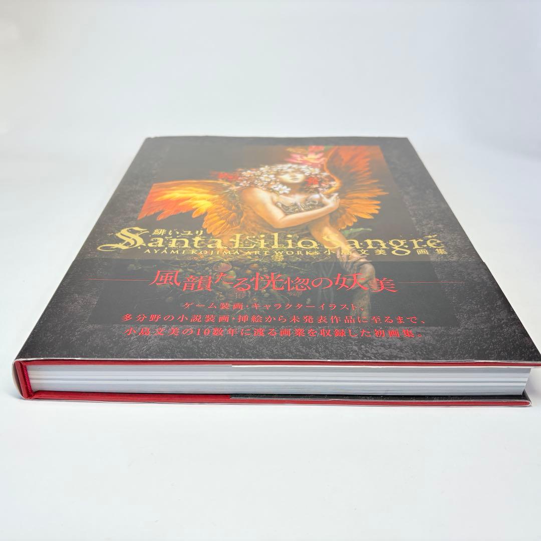 小島文美 画集 Santa Lilio Sangre 緋いユリ