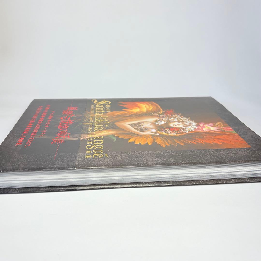 小島文美 画集 Santa Lilio Sangre 緋いユリ