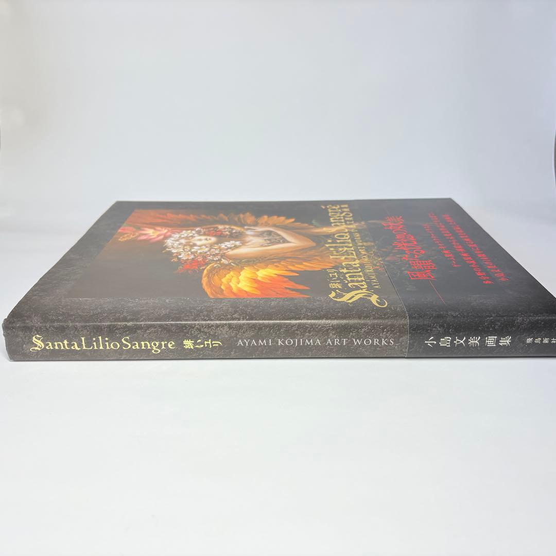 小島文美 画集 Santa Lilio Sangre 緋いユリ