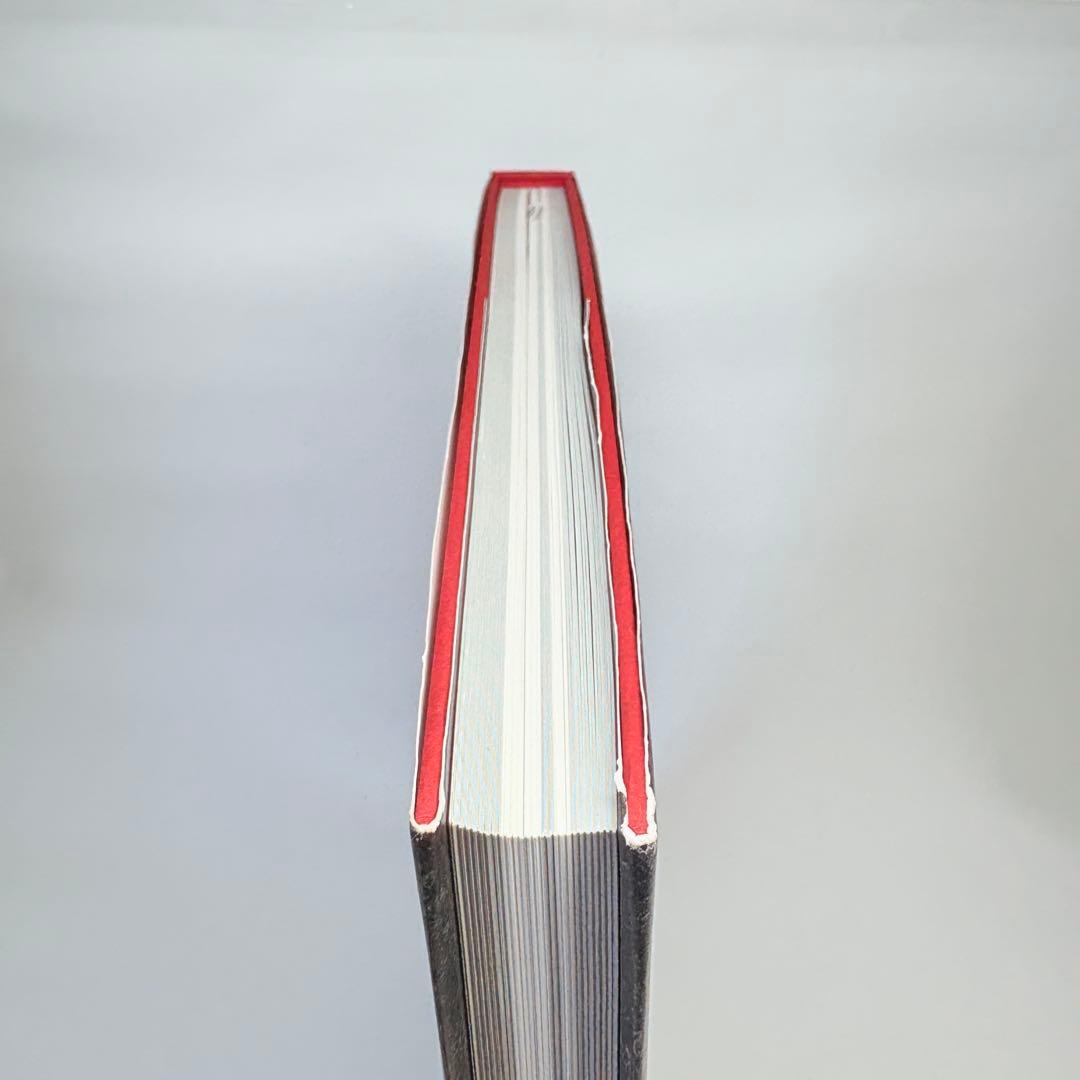 小島文美 画集 Santa Lilio Sangre 緋いユリ