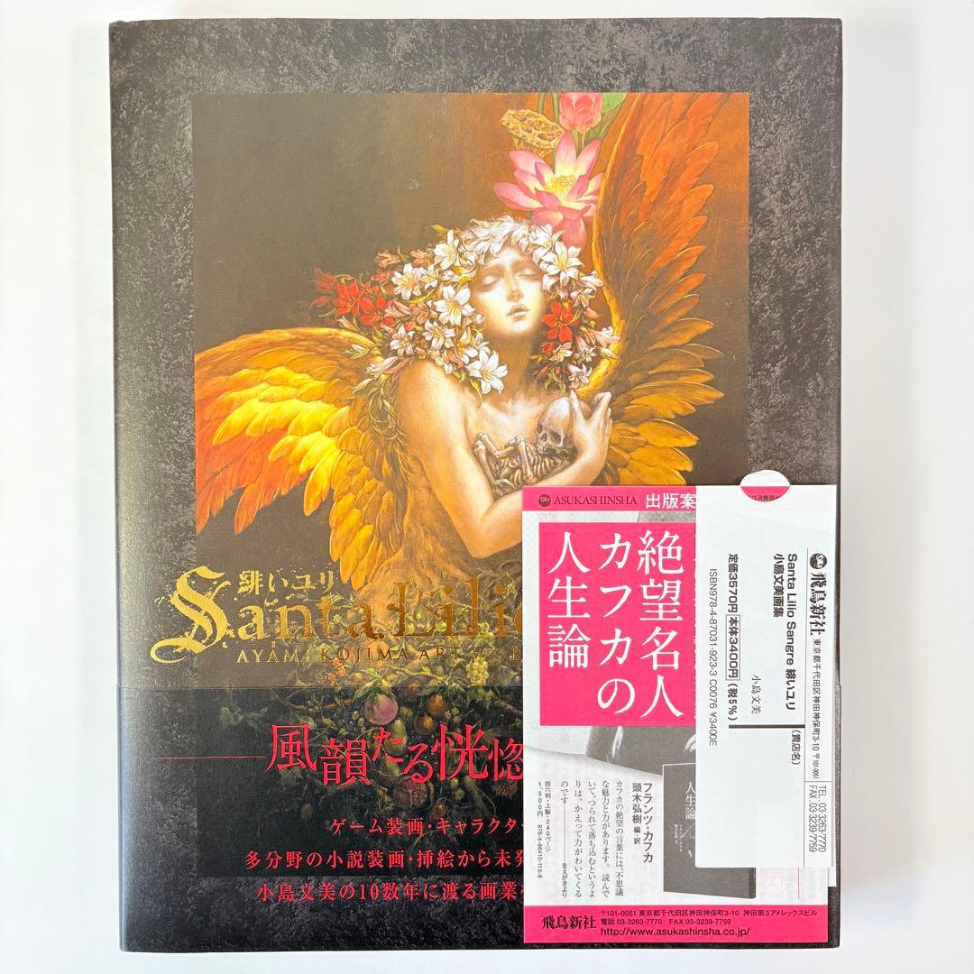 小島文美 画集 Santa Lilio Sangre 緋いユリ