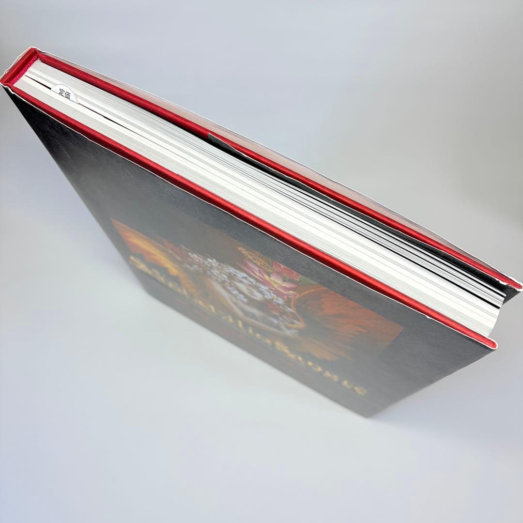 小島文美 画集 Santa Lilio Sangre 緋いユリ