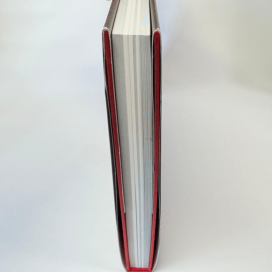 小島文美 画集 Santa Lilio Sangre 緋いユリ