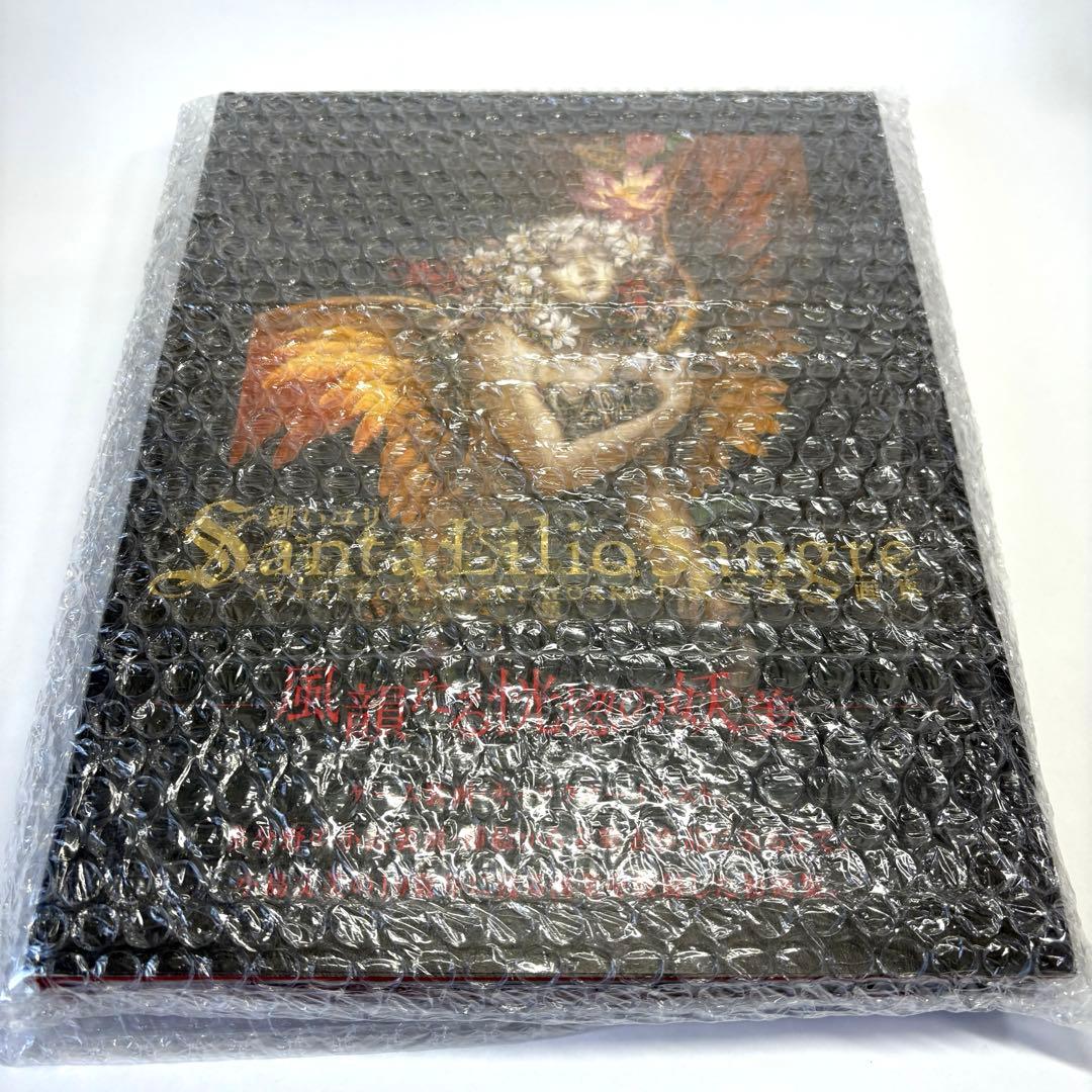 小島文美 画集 Santa Lilio Sangre 緋いユリ