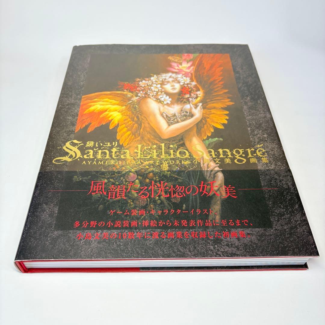 小島文美 画集 Santa Lilio Sangre 緋いユリ