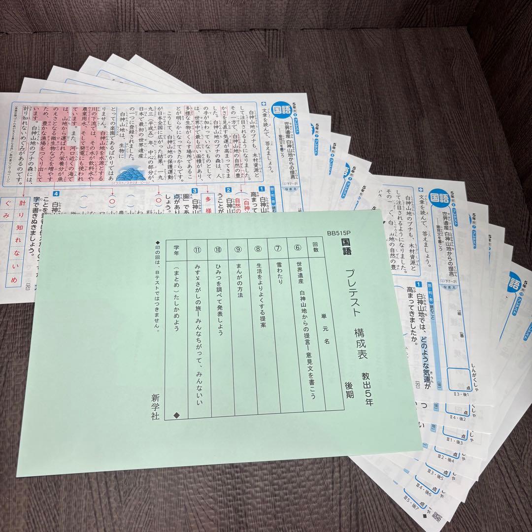 国語 α 後期 5年 カラーテスト 新学社 『未使用』