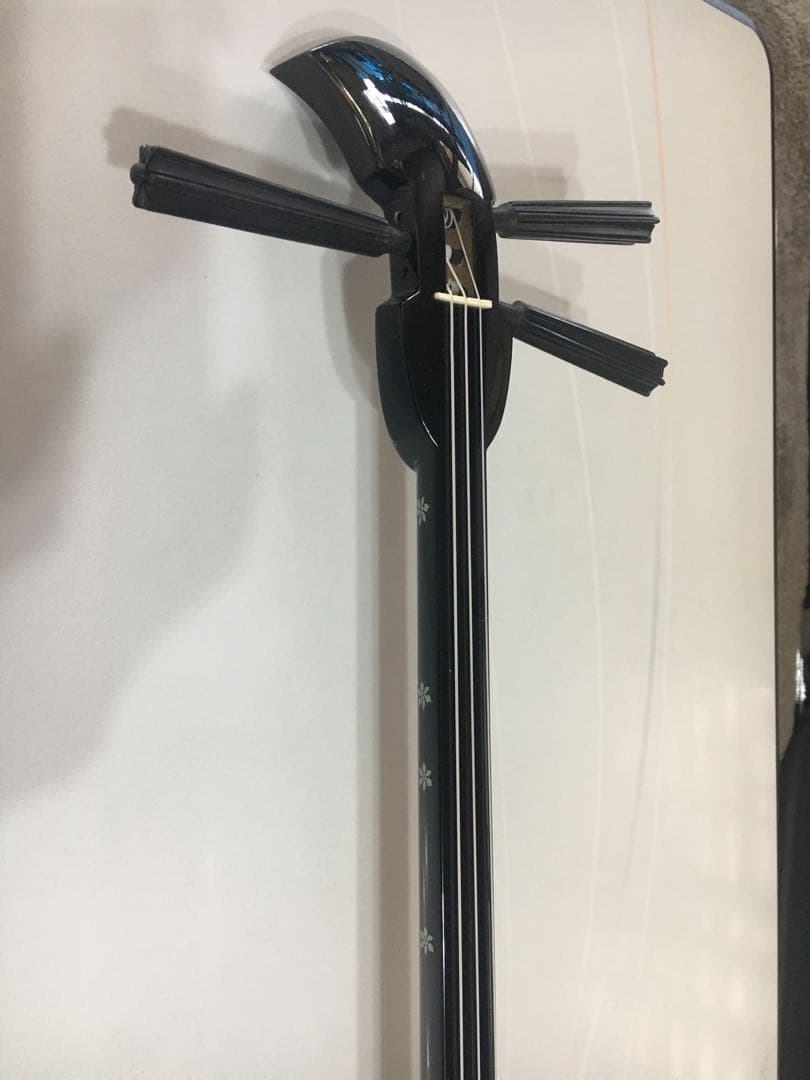 花柄で可愛い三線本体 ケース、教材付き