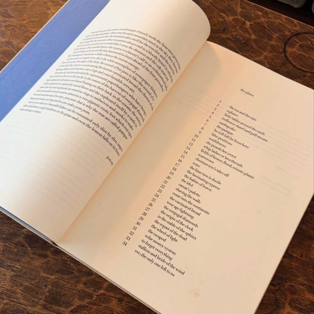 「限定1200部No.847 Max Ernst 自然の歴史 函付」