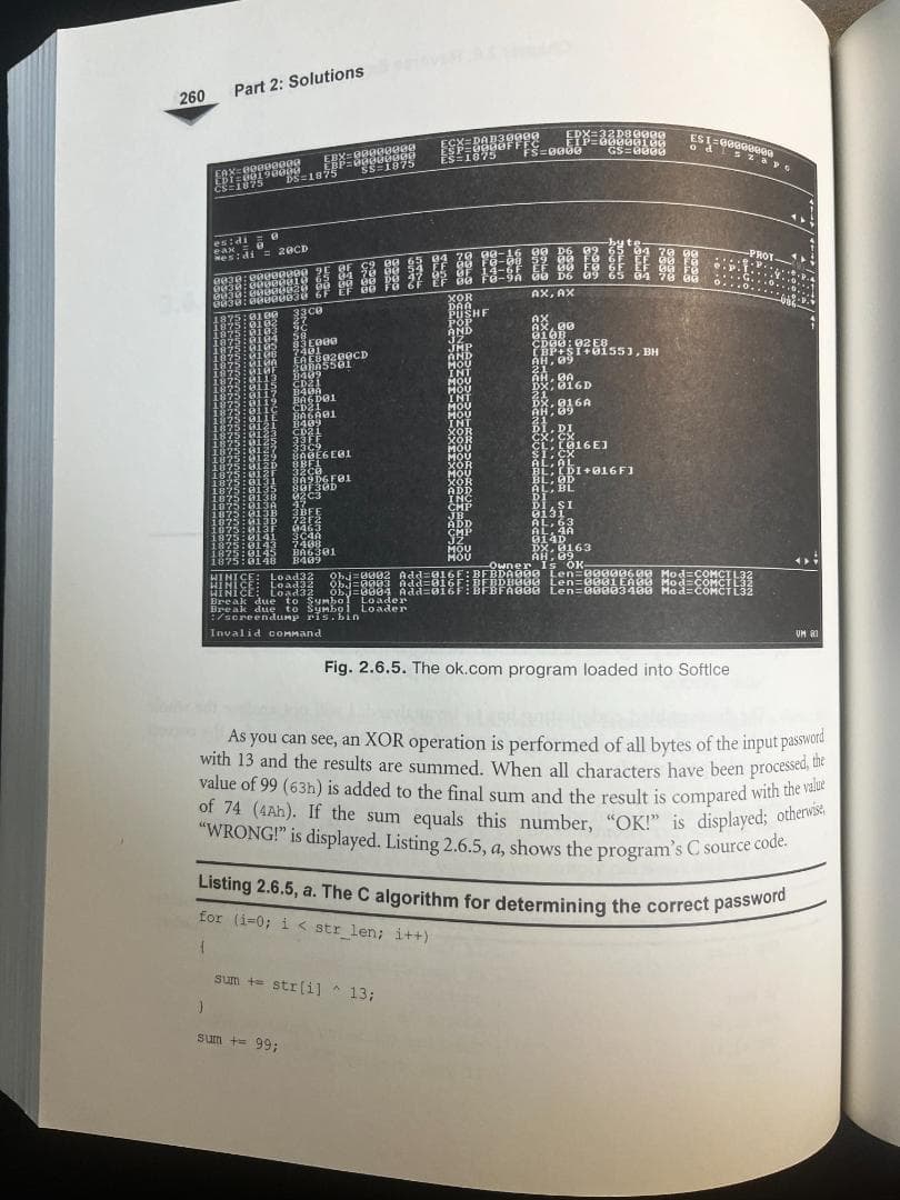 【洋書】『Puzzles for Hackers』【激レア・プレミア品】