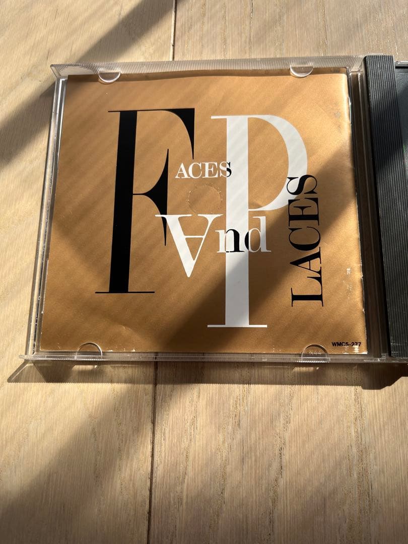 林憶蓮 Faces in Places Sandy Lam 日本盤　サンディラム