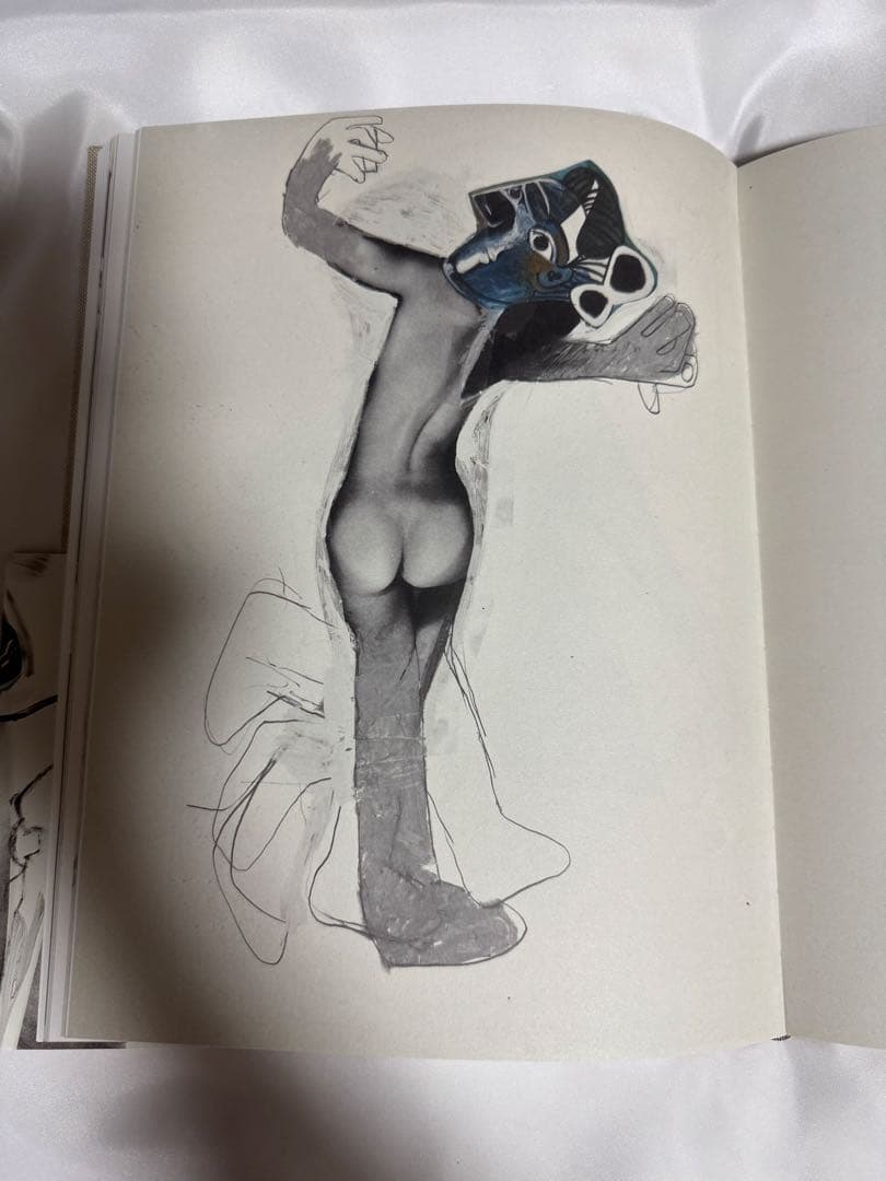 Richard Prince Picasso リチャード プリンス ピカソ　画集