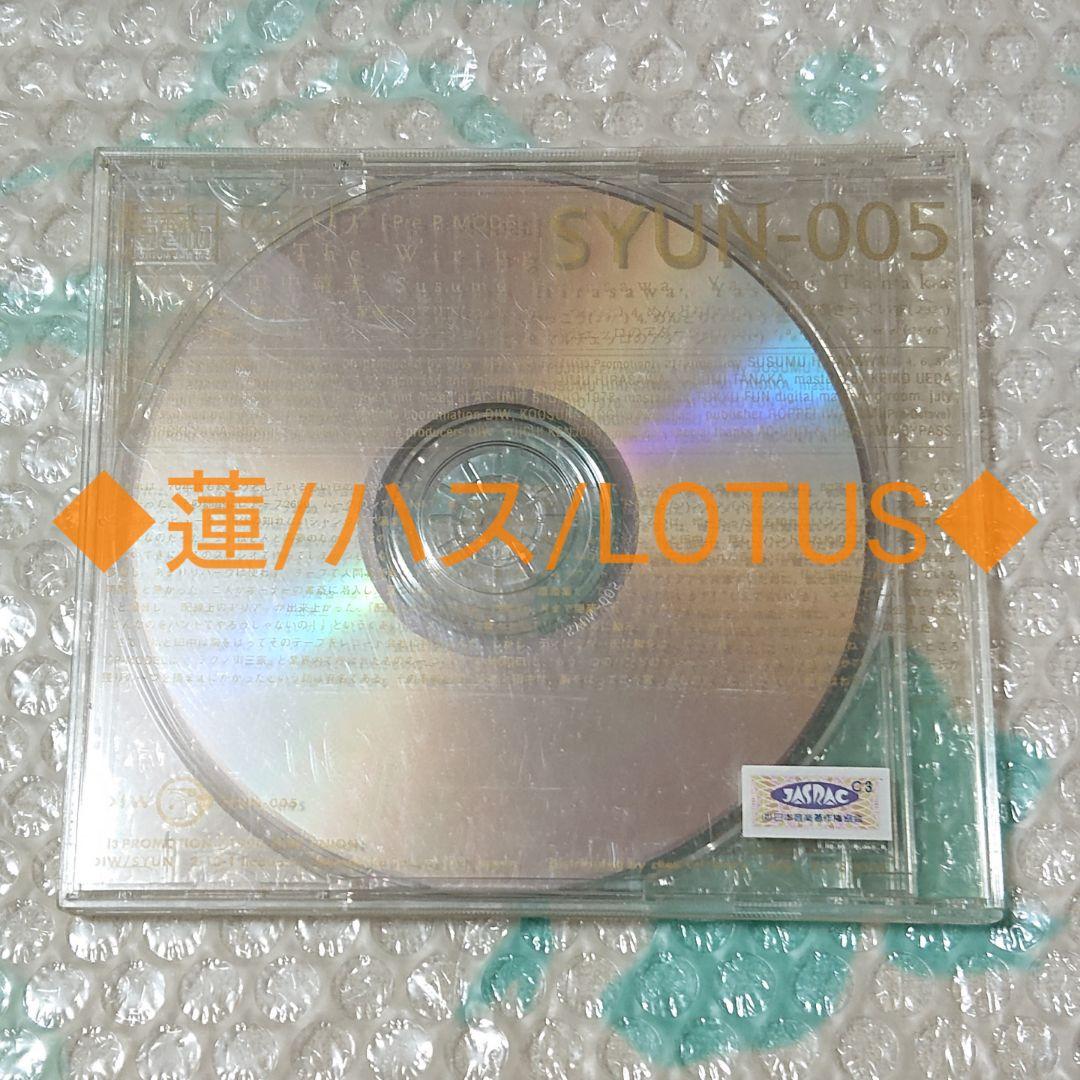 平沢進&田中靖美/CD/配線上のアリア