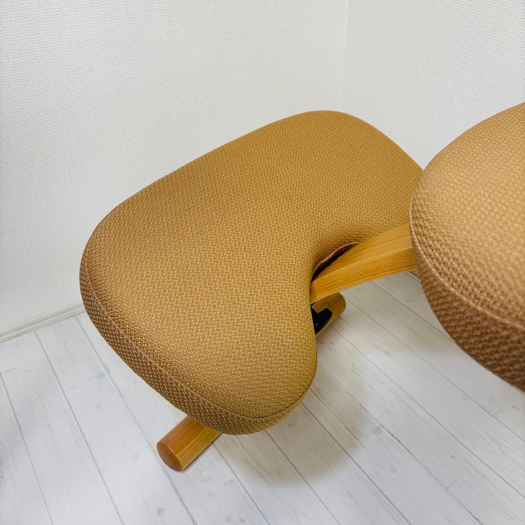 サカモトハウス balans Easy バランスイージー バランスチェア