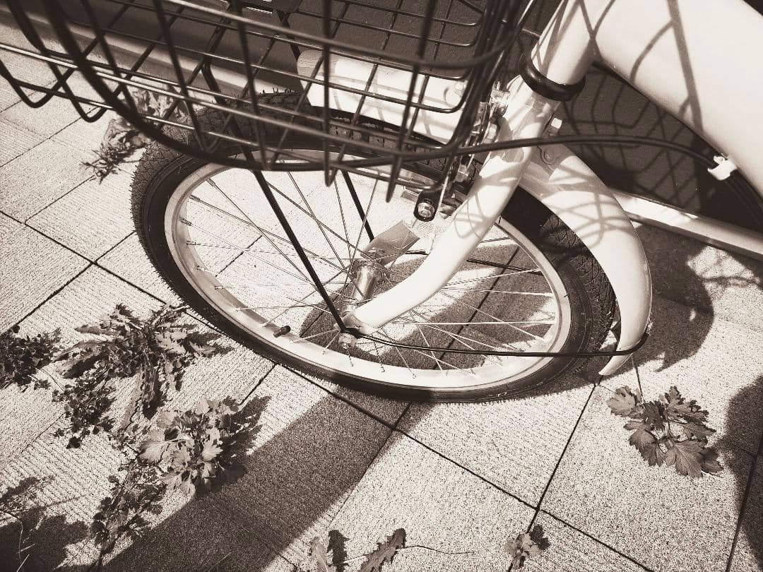 折りたたみ自転車　20インチ　シマノ6段変速　 ミントグリーン　2025年