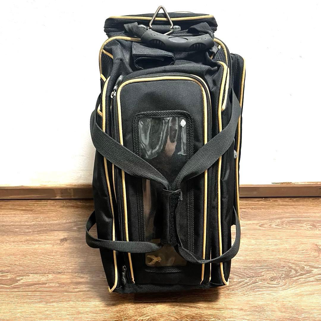 希少 ABS ボウリング バッグ キャリー 2ボール ボーリング キャリーバッグ