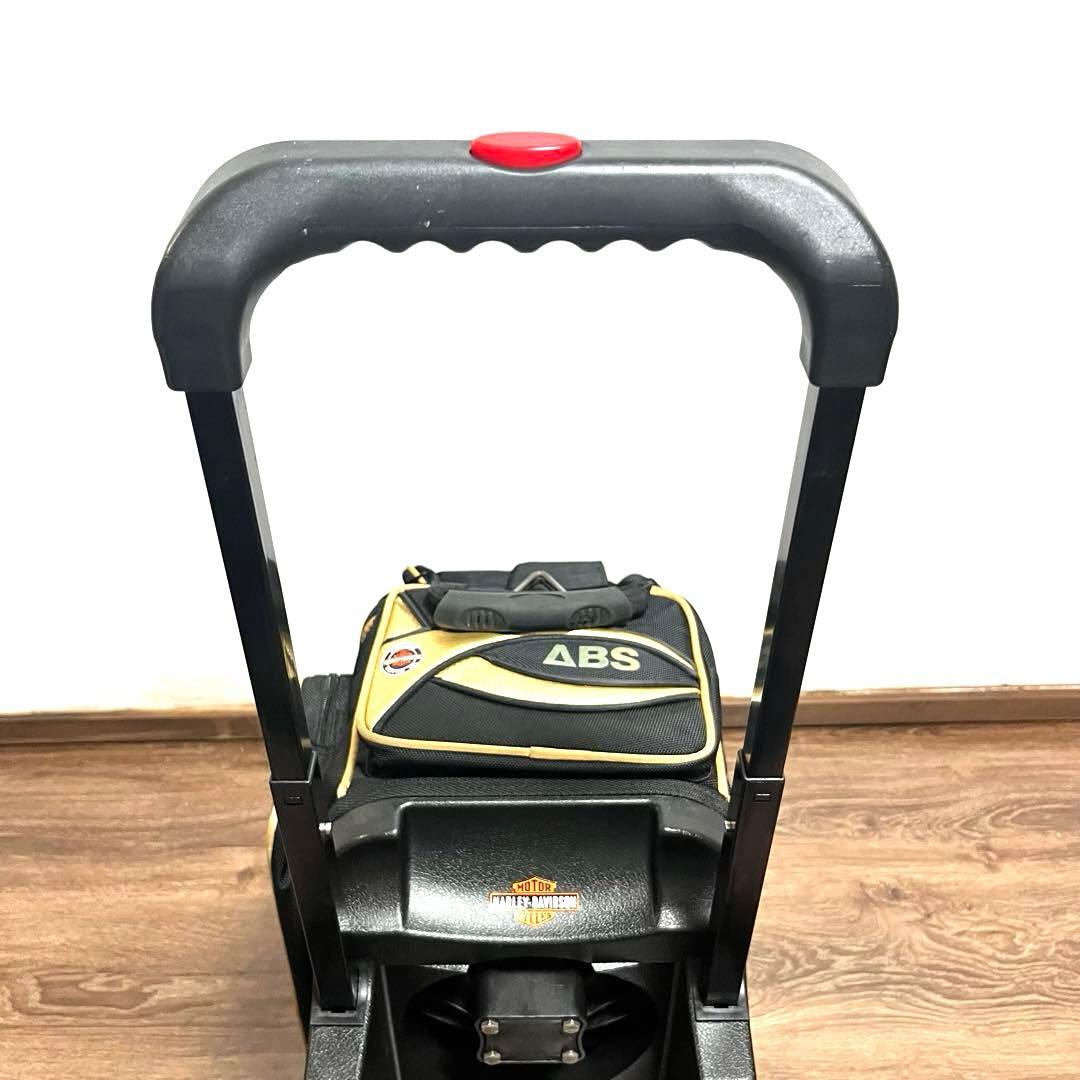 希少 ABS ボウリング バッグ キャリー 2ボール ボーリング キャリーバッグ