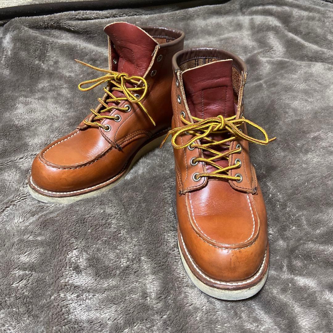 REDWING 8131 8½D