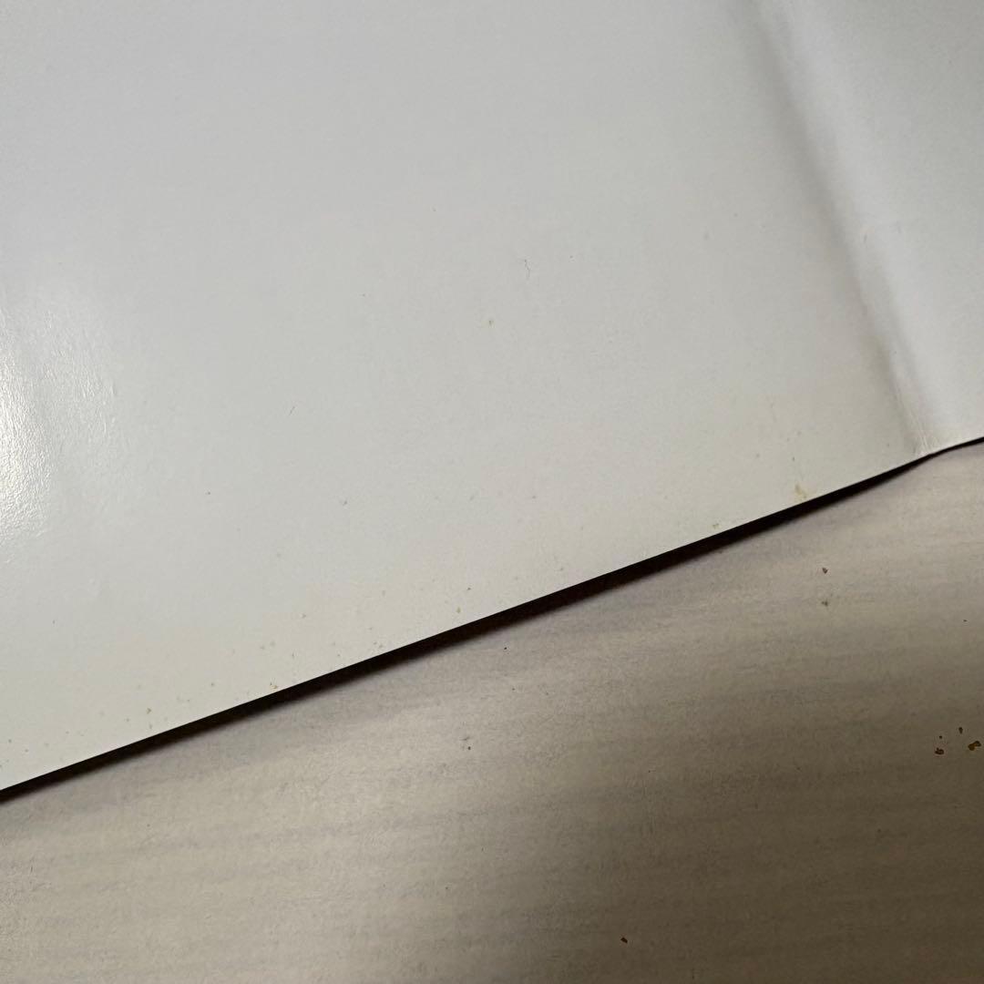 【洋書】The Art of Rio