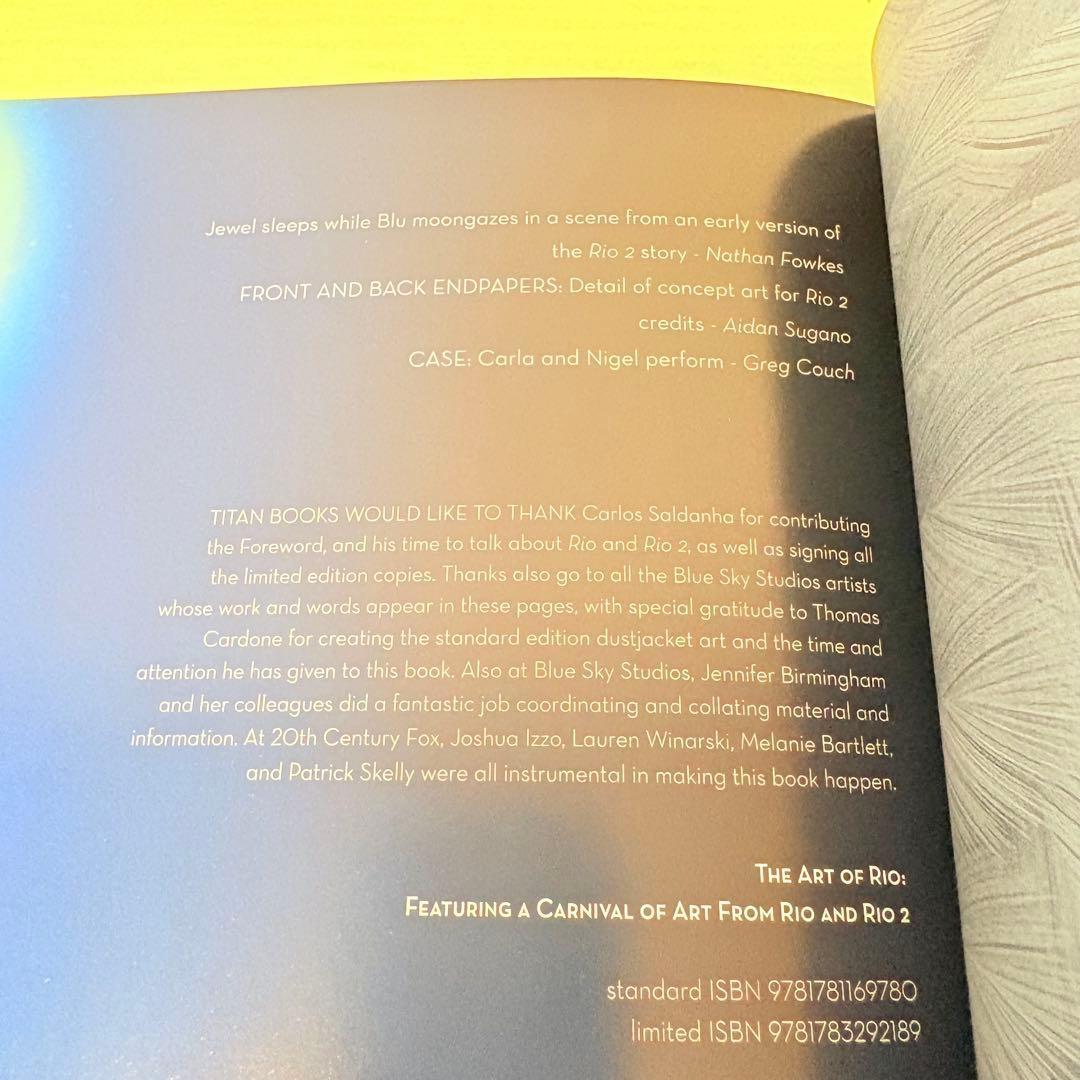 【洋書】The Art of Rio