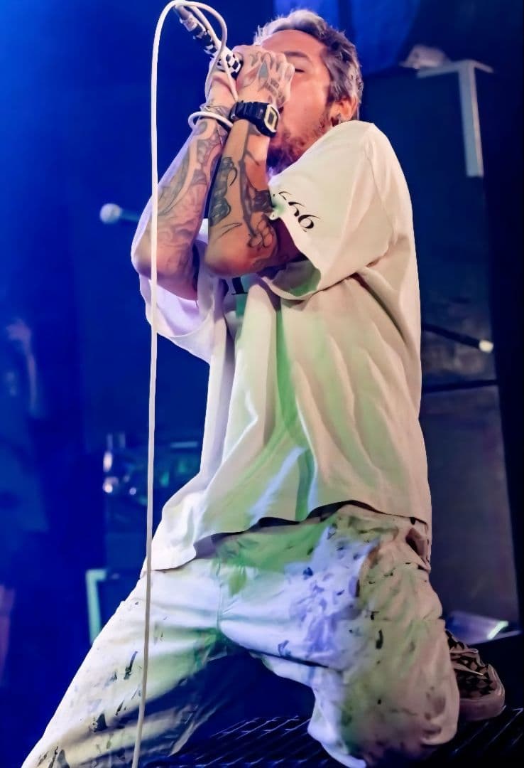 JESSE着 Dickies Sherwin Williams ペインターパンツ