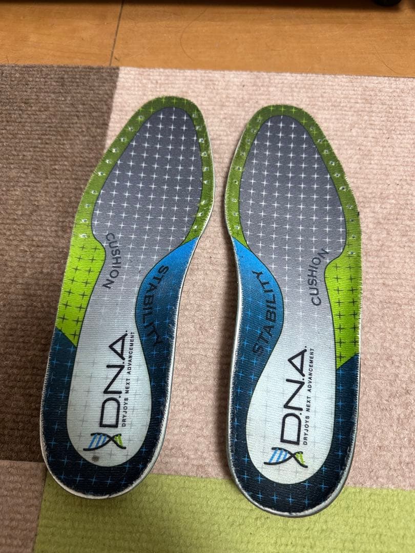 FJ DNA BOA 25cm アダムスコット愛用 名器 ゴルフシューズ