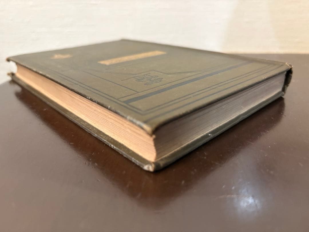 洋書 British Fungi by M. C. Cooke