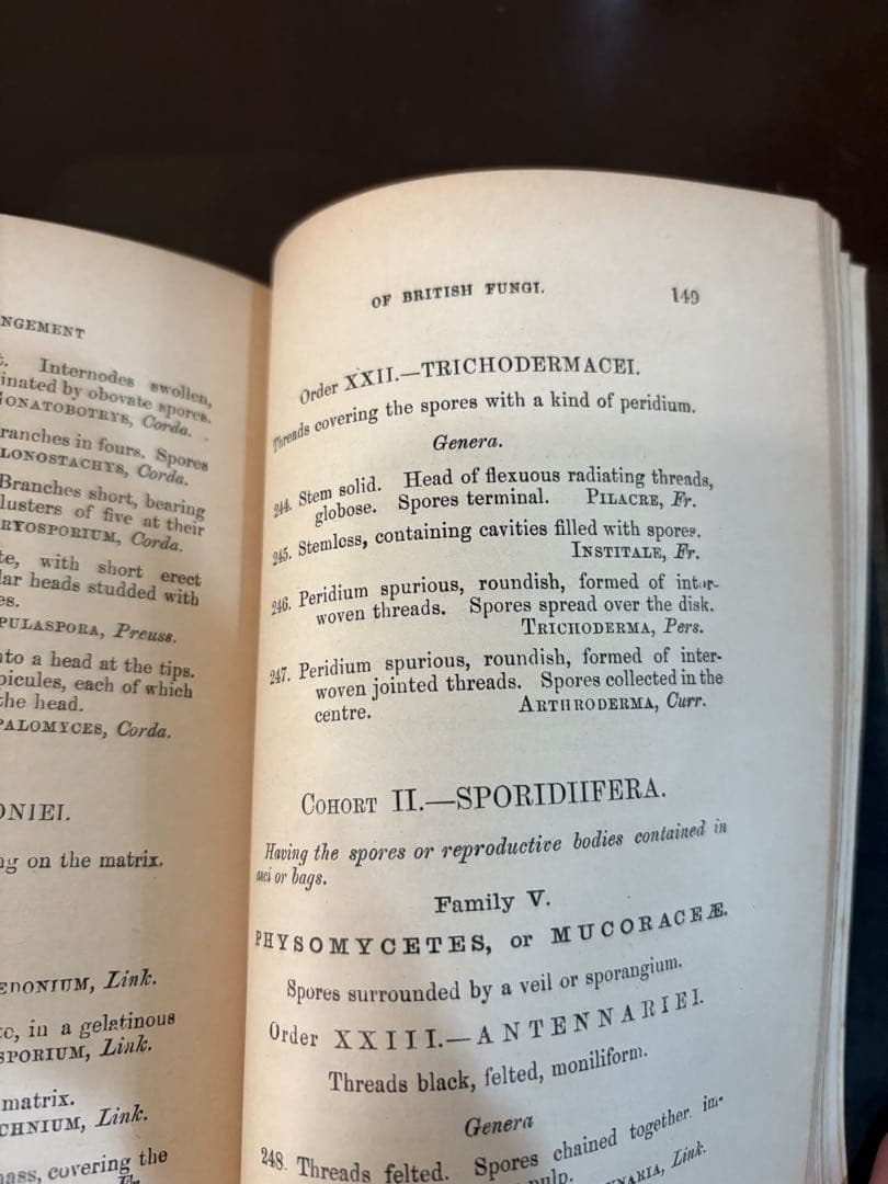 洋書 British Fungi by M. C. Cooke