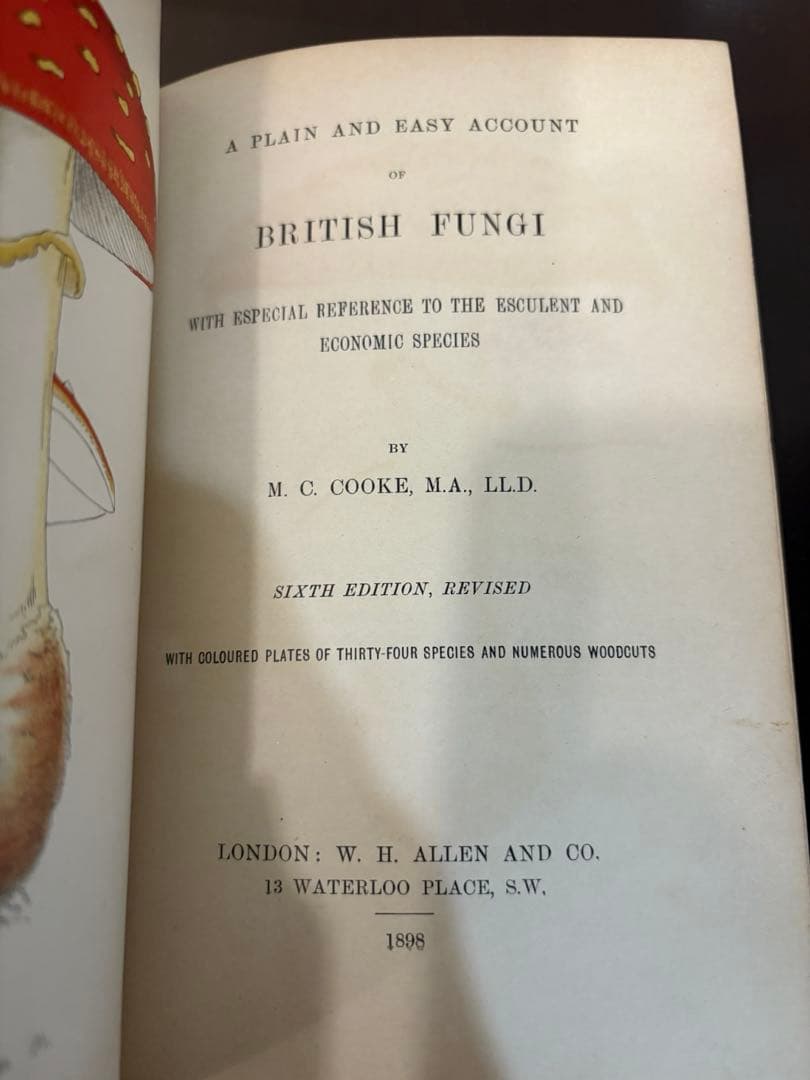 洋書 British Fungi by M. C. Cooke