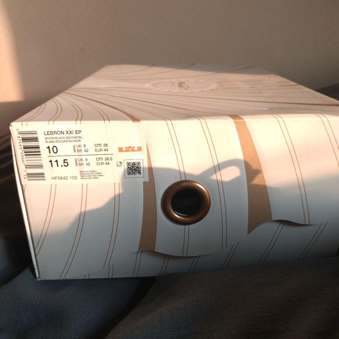Nike バスケットボールシューズ 10 ホワイト/ブラック・レブロン28cm