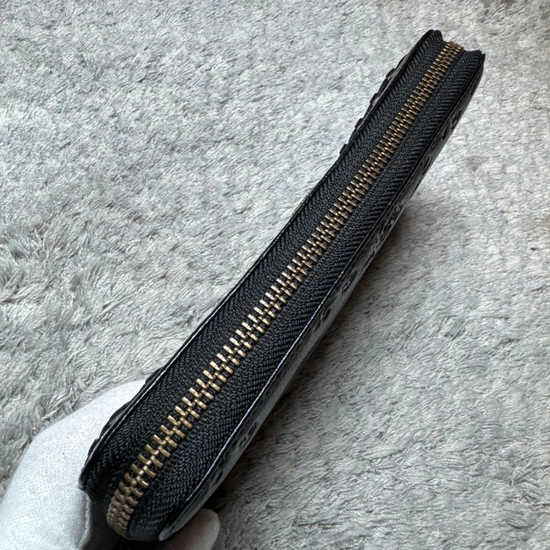 【未使用】ANNA SUI アナスイ 長財布 ラウンドファスナー ブラック