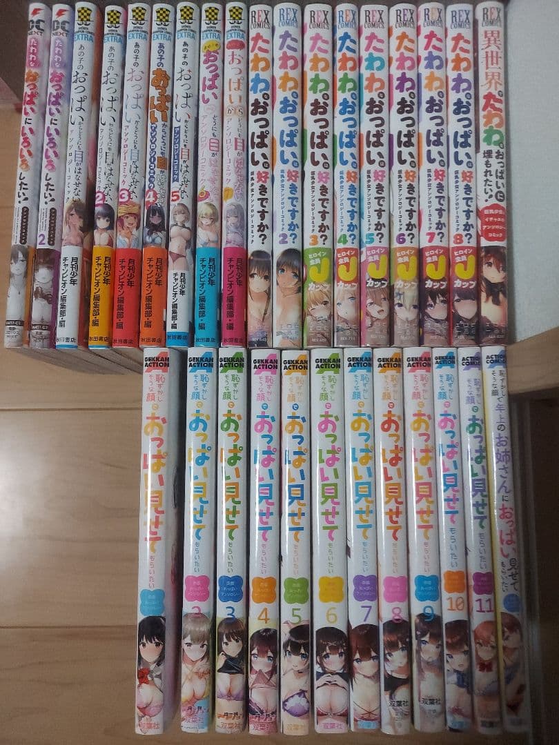 青年コミック　たわわ　マンガ　全巻セット　コミック　漫画　まとめ売り