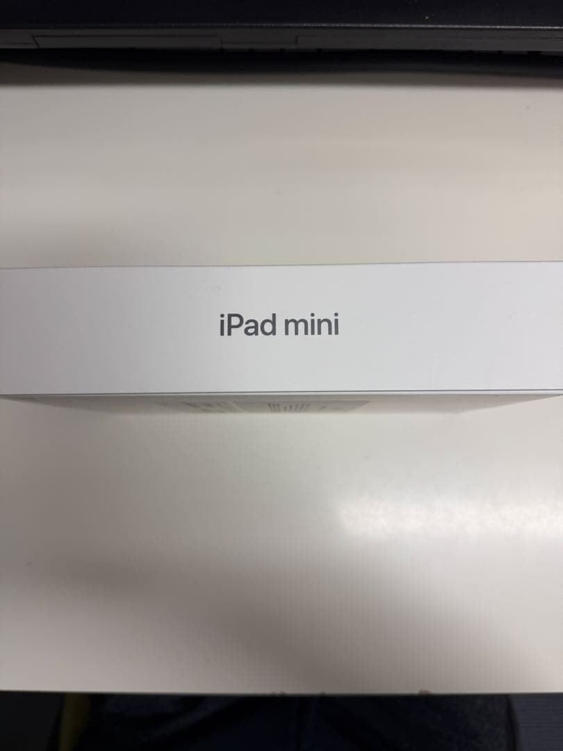 iPad mini 第5世代 256GB Cellular モデル ※ペン付き