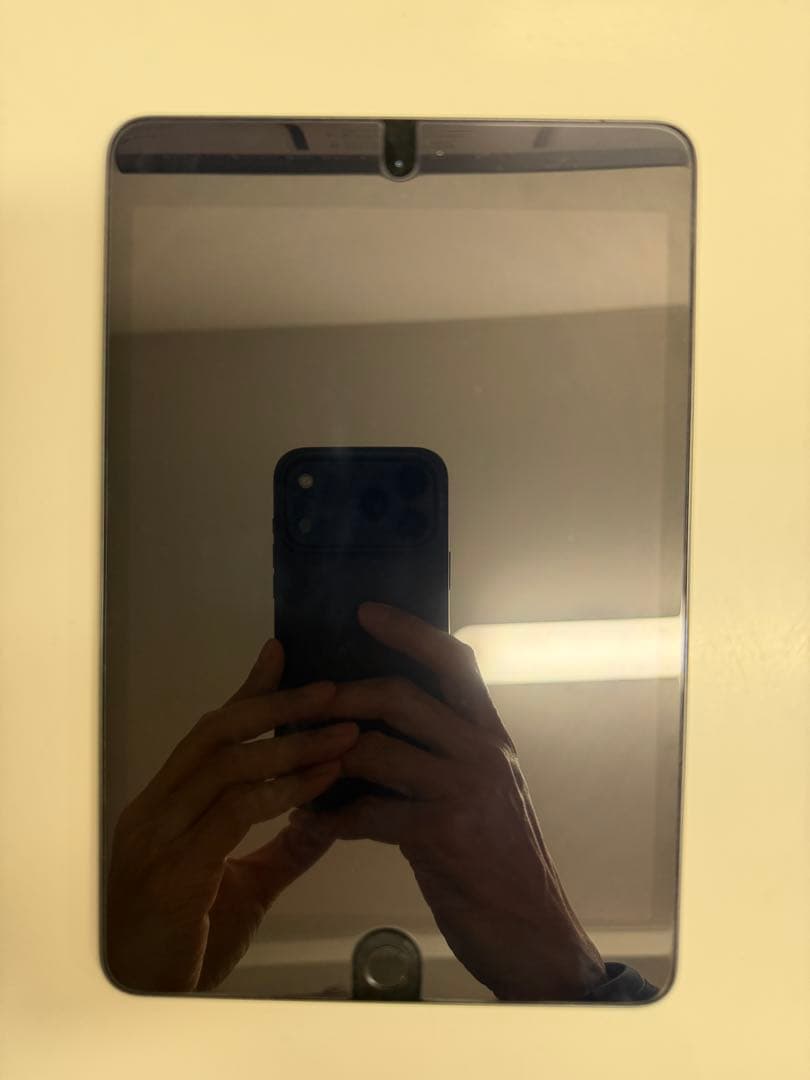 iPad mini 第5世代 256GB Cellular モデル ※ペン付き