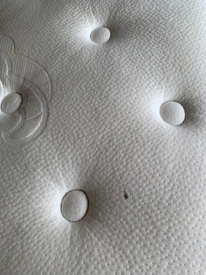 Sealy ベッド　マットレス　Posturepedic Nectar ダブル