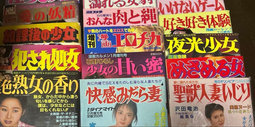 静*鬱様 ￼特集号　増刊号　　まとめ売り