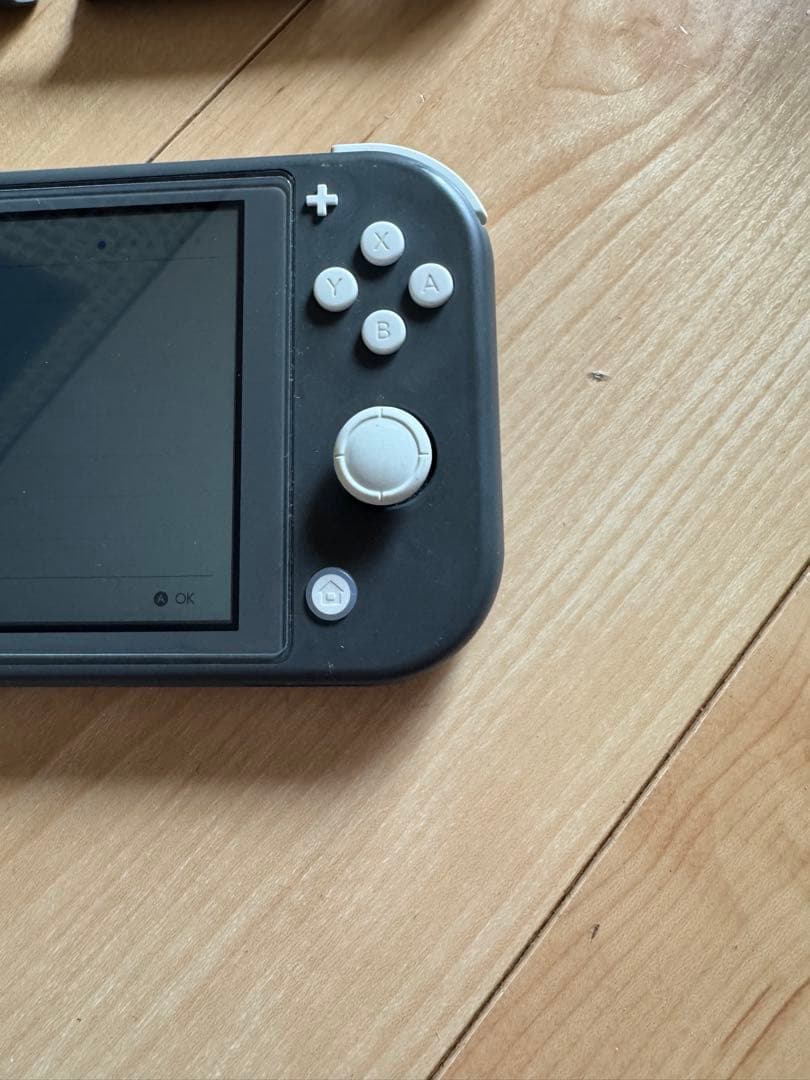 Nintendo Switch Lite グレー 本体 他