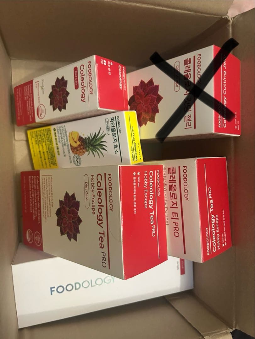 フードオロジー コレオロジーティー　セット