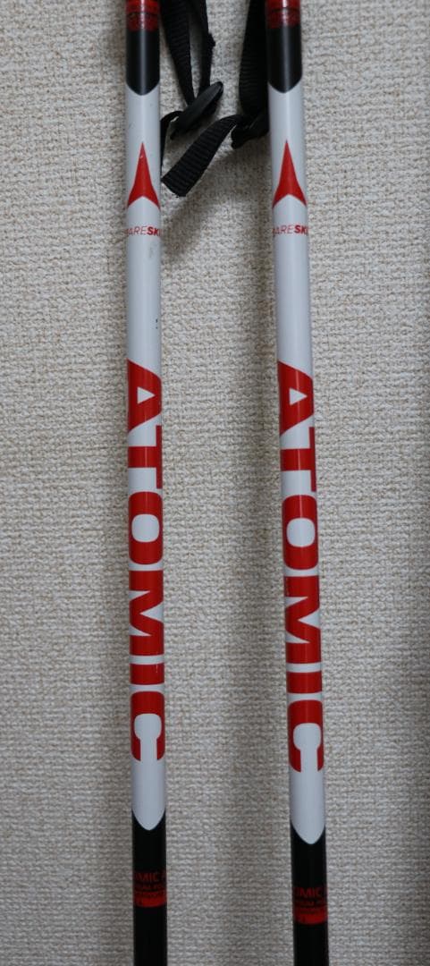 ジュニア 130cm スキー板・ポール・ケース セット