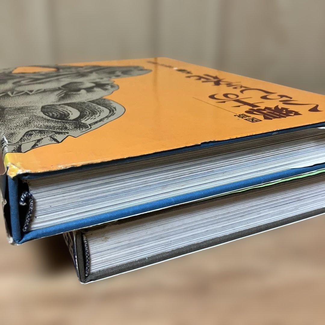 図説 郷土のくらしと文化 沖縄・奄美篇　上下巻セット