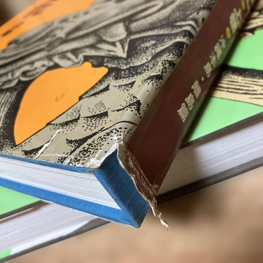 図説 郷土のくらしと文化 沖縄・奄美篇　上下巻セット