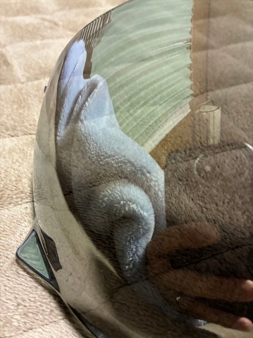 SHOEI CJ-3 シールド ソフトスモークミラー シルバー EX-ZERO