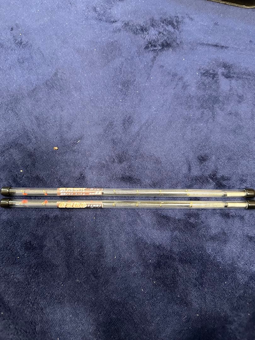 疾風龍神　穂先　わかさぎ