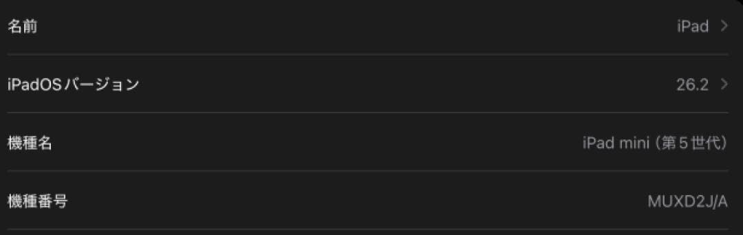 iPad mini 5 Wi-Fi &セルラーモデル256G