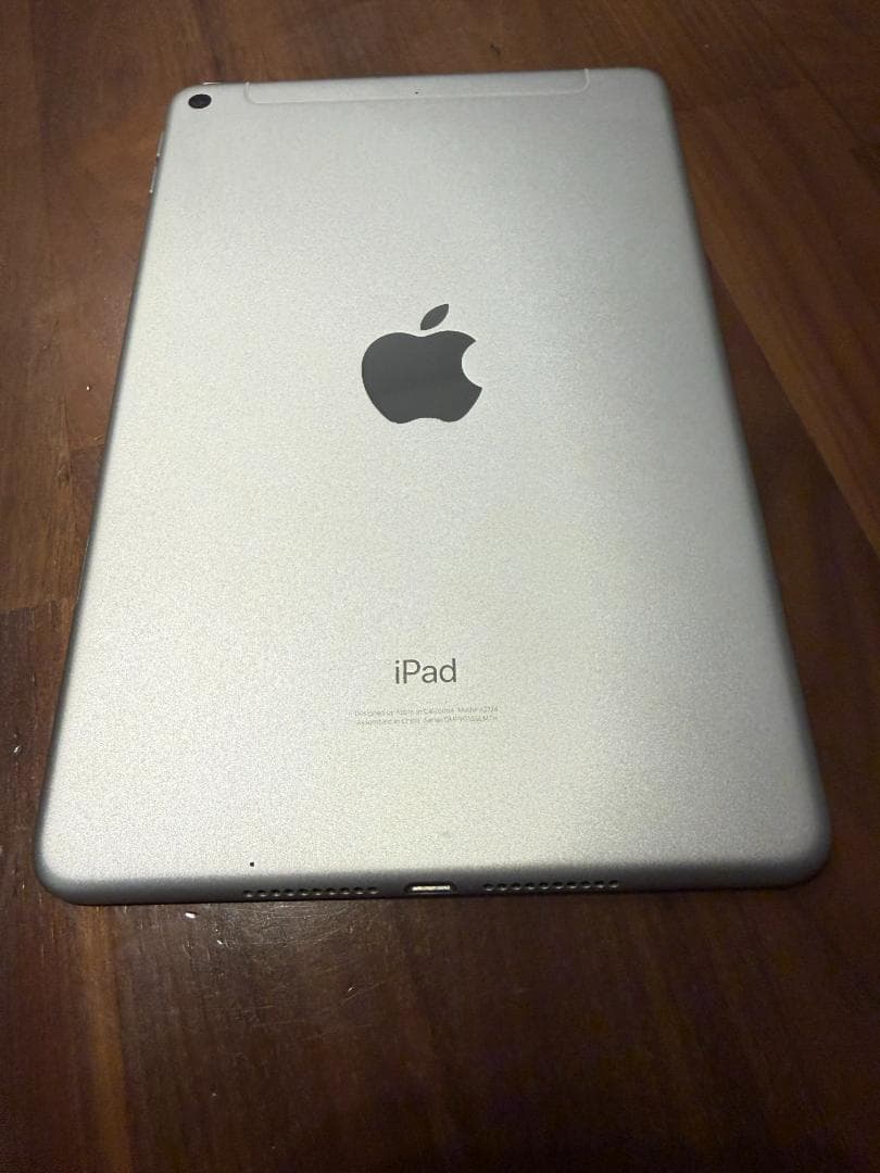 iPad mini 5 Wi-Fi &セルラーモデル256G