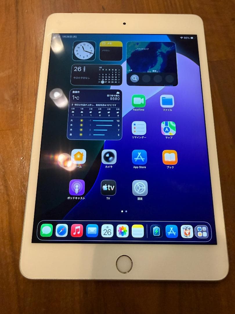iPad mini 5 Wi-Fi &セルラーモデル256G