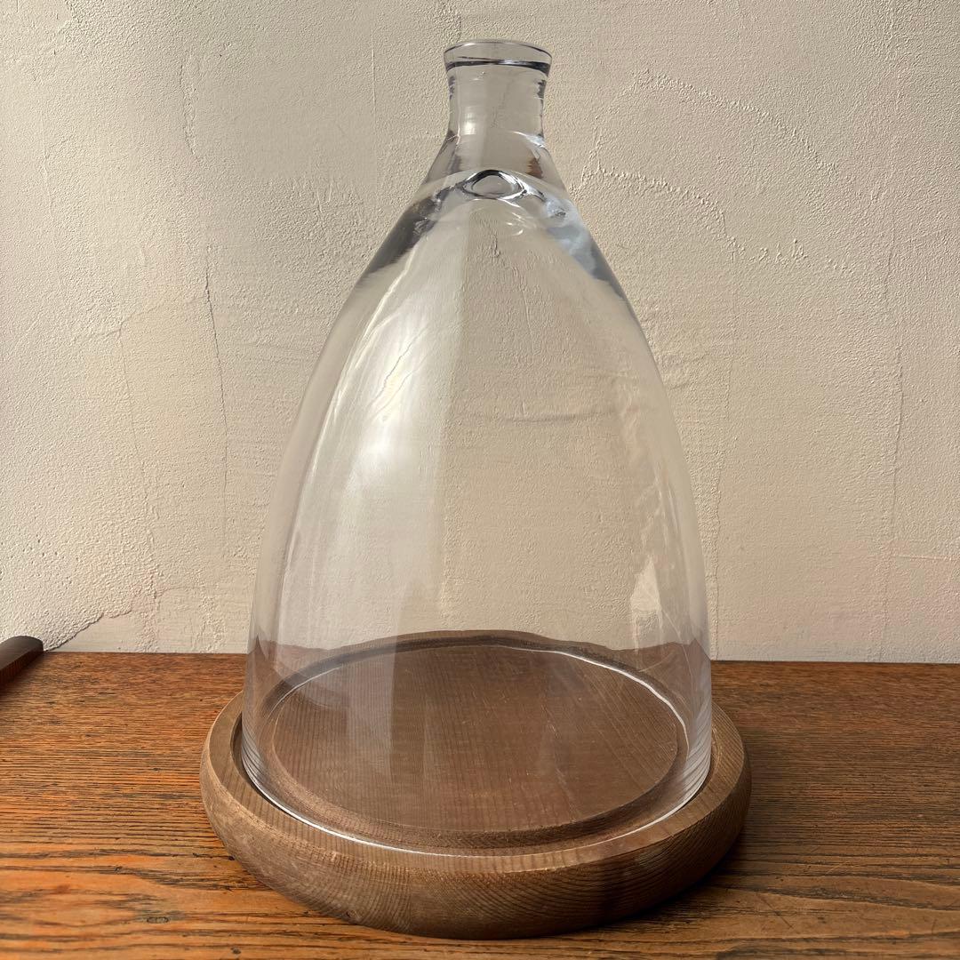 ダルトン ガラスドーム ガラスクローシュ 木製台座 ディスプレイ インテリア