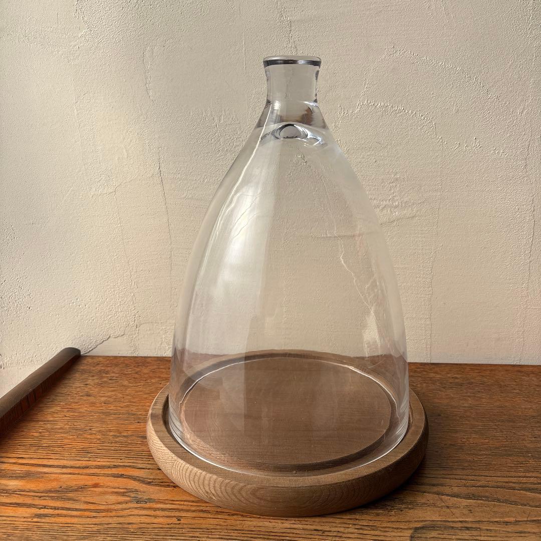 ダルトン ガラスドーム ガラスクローシュ 木製台座 ディスプレイ インテリア