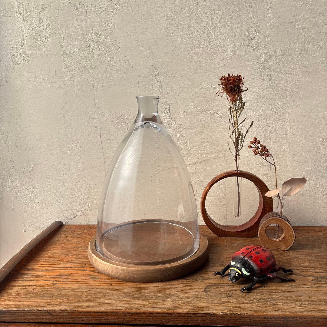 ダルトン ガラスドーム ガラスクローシュ 木製台座 ディスプレイ インテリア