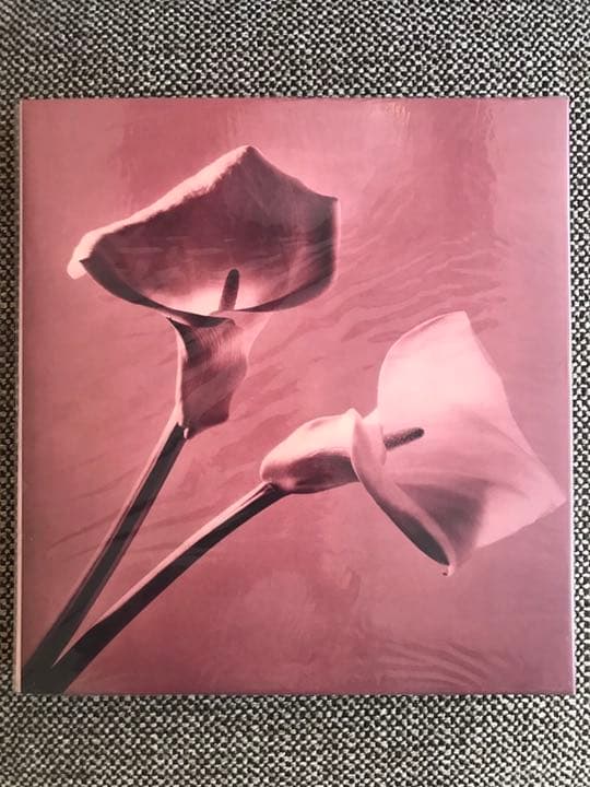 PISTILS Robert Mapplethorpe ロバートメイプルソープ