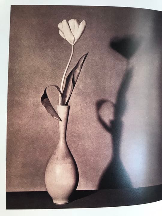 PISTILS Robert Mapplethorpe ロバートメイプルソープ